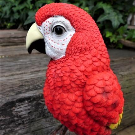 小鳥の置物 オウムの置物 ｌ赤 ７５８９ｈ インコ とり オーナメント ガーデン インテリア 雑貨 置物 庭 ガーデンマスコット レジン 陶器 リアル わくわくガーデン 通販 Yahoo ショッピング