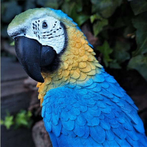 小鳥の置物 インコの置物 コンゴウインコ 特大 N14107 青 オウム 