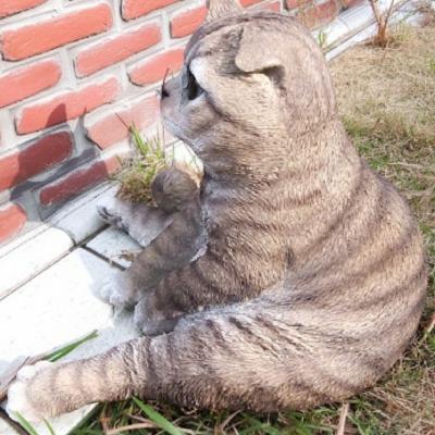 猫の置物 サバトラ まったり猫 Ｎ１５７７２ キャット ガーデンオブジェ オーナメント ネコ ガーデン オブジェ ガーデニング_4