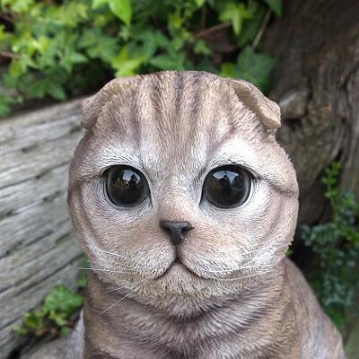 猫の置物 サバトラ まったり猫 Ｎ１５７７２ キャット ガーデンオブジェ オーナメント ネコ ガーデン オブジェ ガーデニング_6