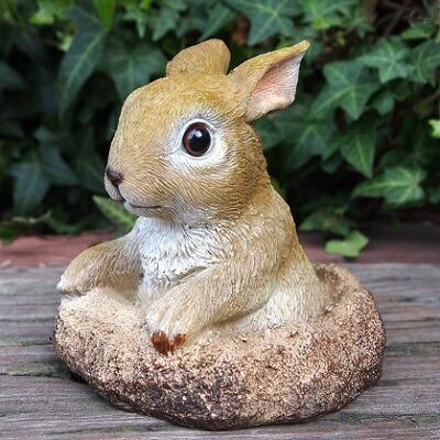 うさぎの置物 うさぎの置物 ひょっこりウサギ N15441 兎 キャロット