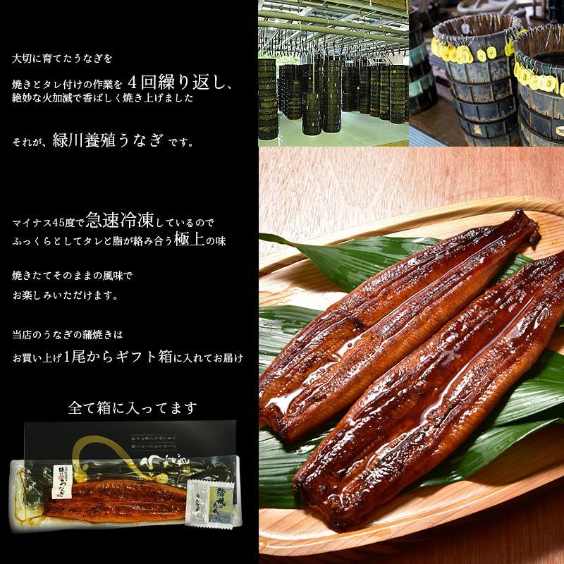 うなぎの蒲焼き大１尾（190ｇ）＆熊本名物いきなり団子5個 ギフトセット 送料無料(離島を除く)　化粧箱  贈り物 ギフト グルメ プレゼント｜wakuwakukenkouclub｜05