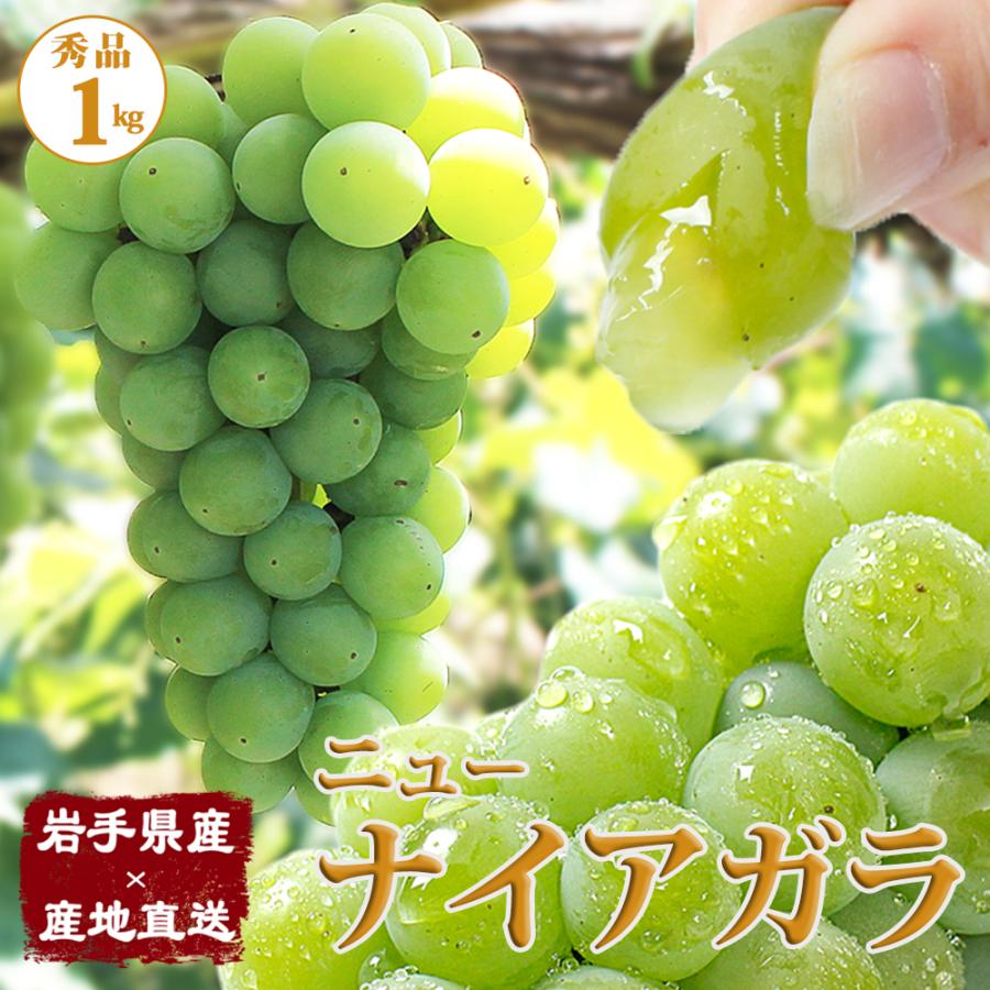 ぶどう ニューナイアガラ 1kg 2 3房入 岩手県産 産地直送 秀品 葡萄 ブドウ フルーツ くだもの 食品 期間限定販売 N Naiagara1kg 贈喜屋 通販 Yahoo ショッピング