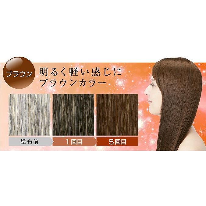白髪染めヘアカラートリートメント 利尻昆布エキス配合 髪と頭皮に優しい男性用メンズ女性用 送料無料 T01 004 F02 わくわく店 通販 Yahoo ショッピング