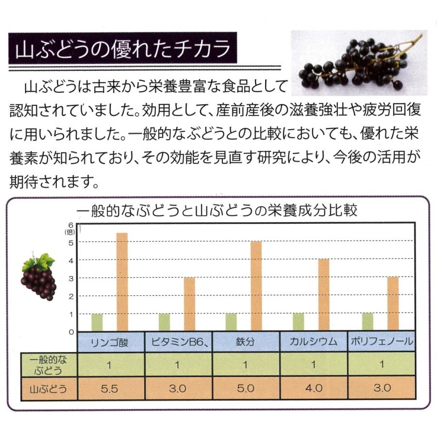 山ぶどうジュース 山形県白鷹町深山産 500m 1本 Sny0001 Wala オンライン店 通販 Yahoo ショッピング