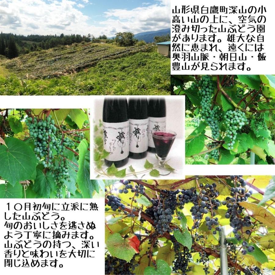 山ぶどうジュース 山形県白鷹町深山産 500m 2本 Sny0002 Wala オンライン店 通販 Yahoo ショッピング