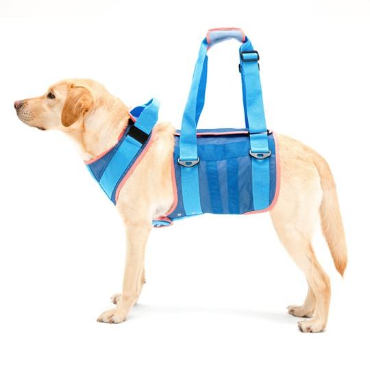 歩行補助ハーネス LaLaWalk 大型犬用　クールメッシュ ブルー SS・ S・ M・ L・ LL