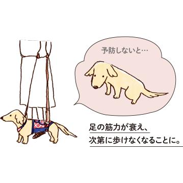 LaLaWalk（TOMBOW） 犬 歩行補助ハーネス 介護 ハーネス 胴輪 LaLaWalk