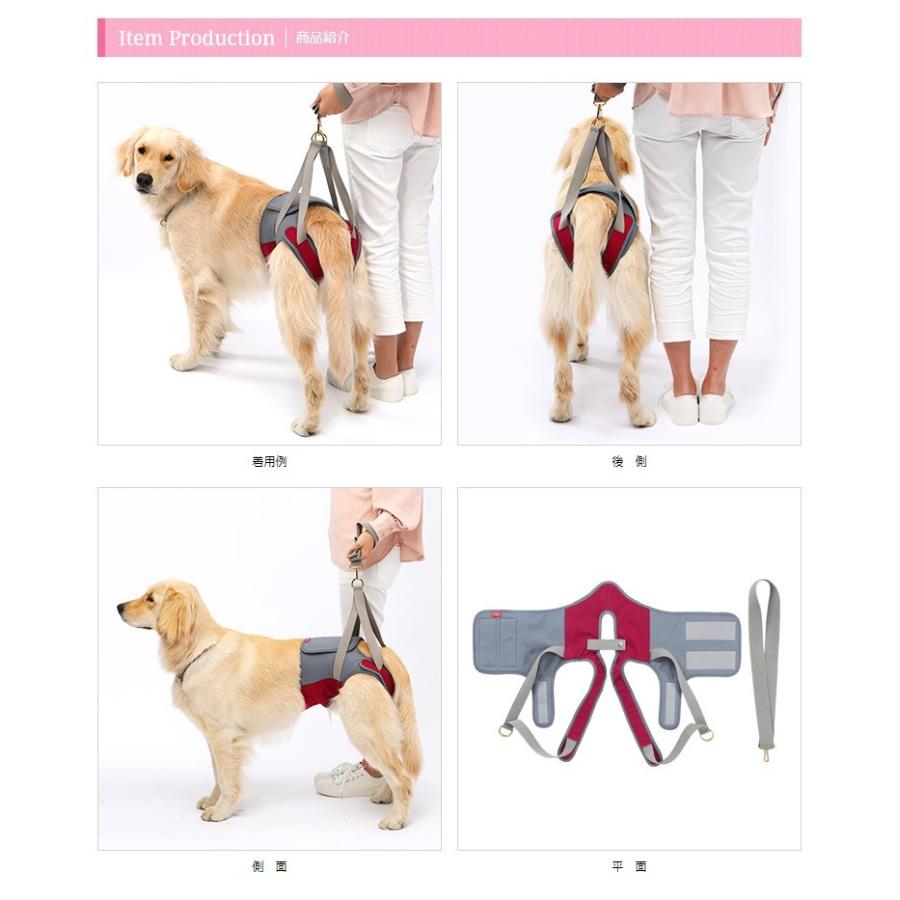 LaLaWalk（TOMBOW） 犬 歩行補助ハーネス 介護 ハーネス 胴輪 LaLaWalk