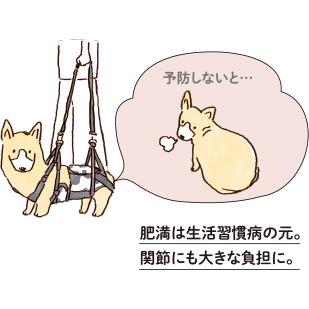 LaLaWalk（TOMBOW） 犬 歩行補助ハーネス 介護 ハーネス 胴輪 LaLaWalk