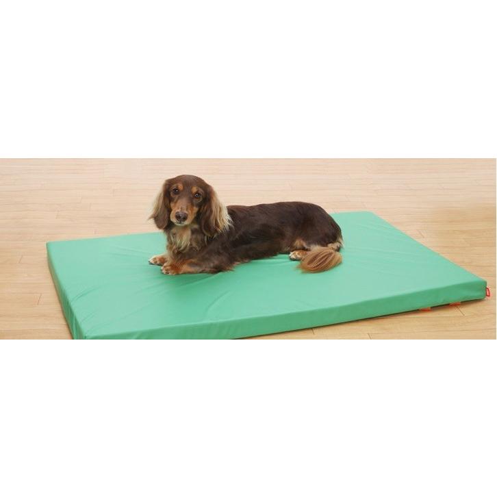 犬用マット 床ずれ防止・防水マットレス グリーン Lサイズ