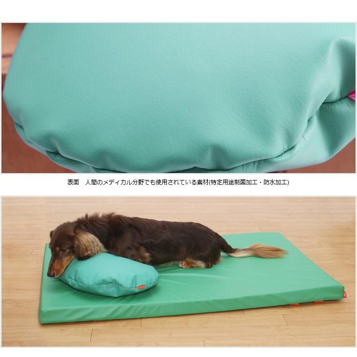 LaLaWalk（TOMBOW） 犬の介護まくら 床ずれ防止・防水クッション