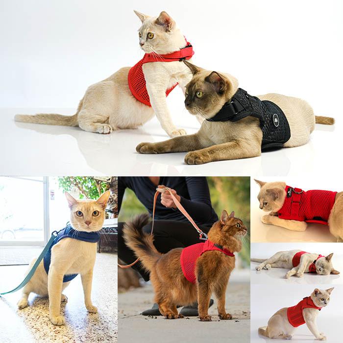 ハーネス 猫 可愛い おしゃれ Sleepypod Martingale Cat Harness スリーピーポッド マーチンゲールキャット