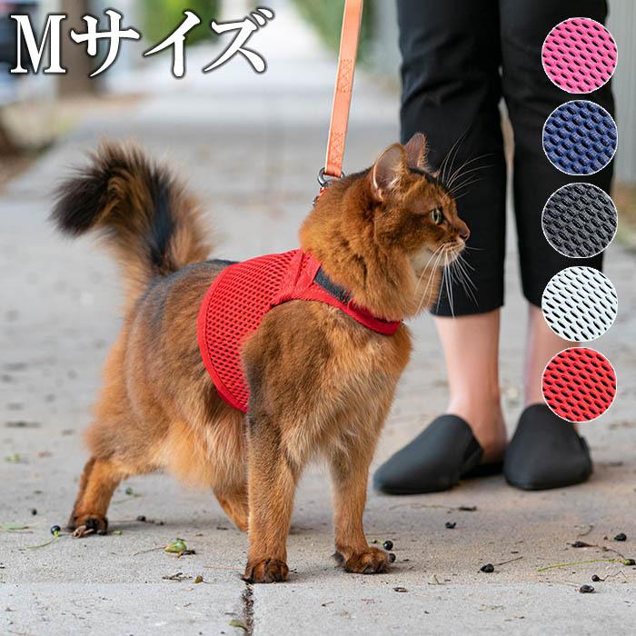 ハーネス 猫 可愛い おしゃれ Sleepypod Martingale Cat Harness スリーピーポッド マーチンゲールキャット