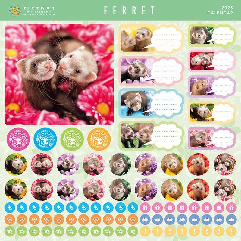 フェレット カレンダー L版 ピクトワン 2025年 : 犬の介護ハーネス