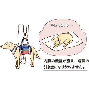 LaLaWalk（TOMBOW） 犬 歩行補助ハーネス 介護 ハーネス 胴輪 LaLaWalk