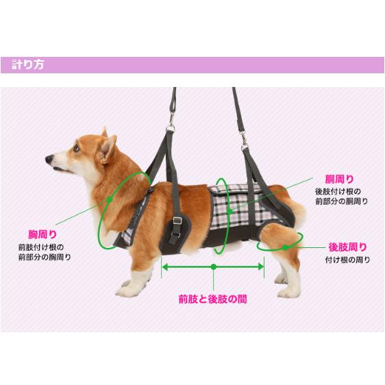LaLaWalk（TOMBOW） 犬 歩行補助ハーネス 介護 ハーネス 胴輪 LaLaWalk