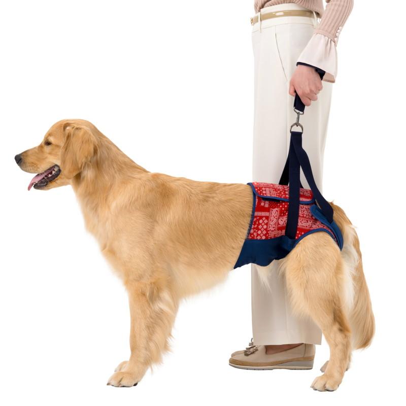 LaLaWalk（TOMBOW） 犬 歩行補助ハーネス 介護 ハーネス 胴輪 LaLaWalk