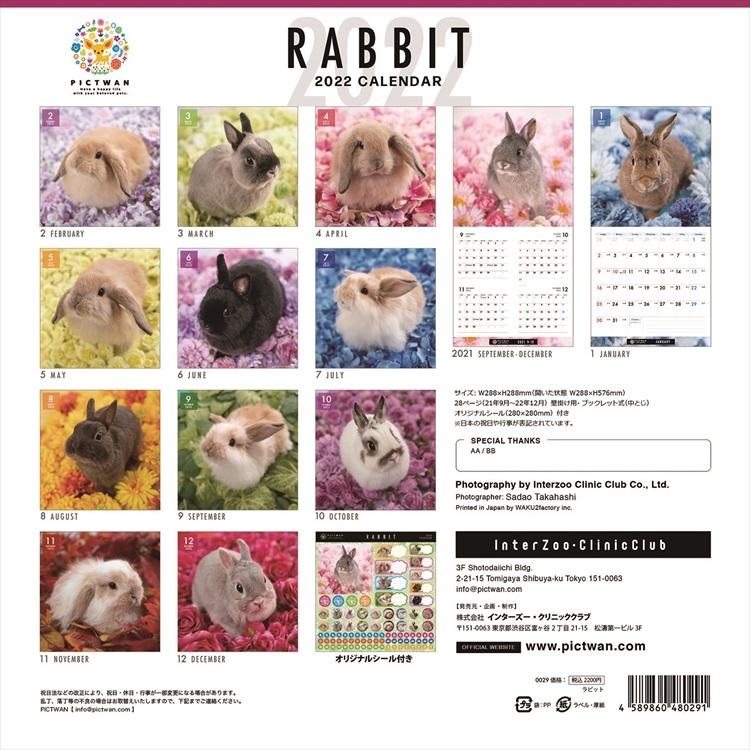 Pictwan 新作続 ウサギ カレンダー 22年 兎 うさぎ Rabbit