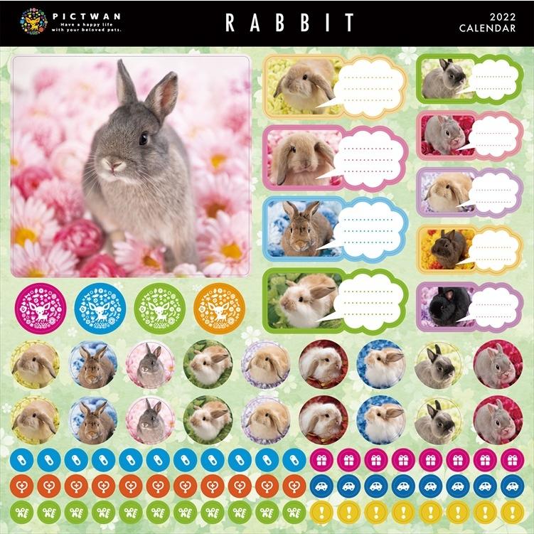 Pictwan 新作続 ウサギ カレンダー 22年 兎 うさぎ Rabbit