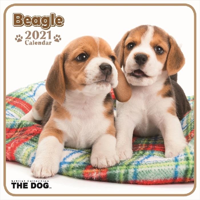 The Dog ミニカレンダー ビーグル 21年 Wp404 犬の介護ハーネス ワラジンドッグ 通販 Yahoo ショッピング