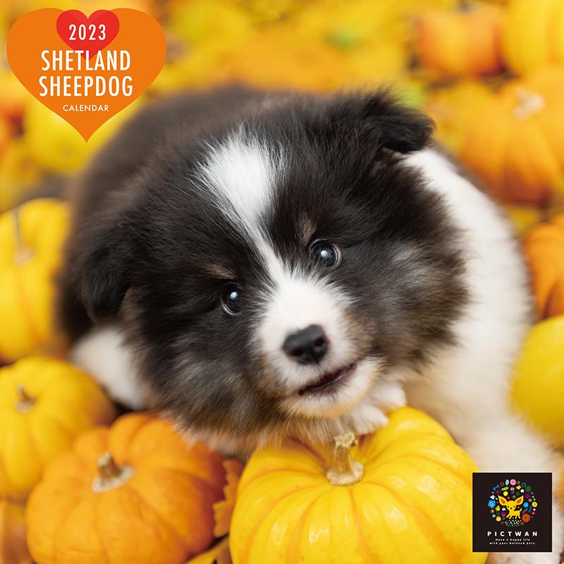 Pictwan シェットランド シープドック スモール カレンダー 23年 シェルティー Wp 犬の介護ハーネス ワラジンドッグ 通販 Yahoo ショッピング