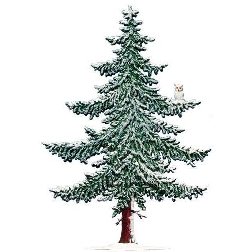 ドイツトウヒ 木 冬 : ヴァルト - 通販 - Yahoo!ショッピング