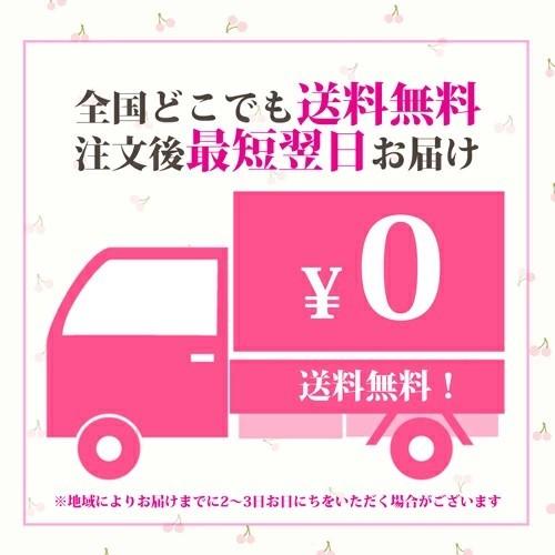14金 K14 ピアリング ホワイトゴールド シンプル ダイヤモンド入 正規品 k14WG刻印入り クリップ式イヤリング 14k イヤーカフ ノンホールピアス リバーシブルの画像