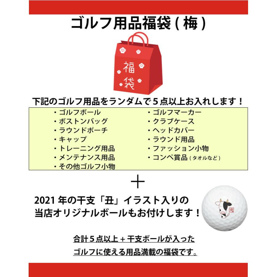 ゴルフ 福袋 21年 ゴルフ用品 小物 アクセサリ 5 000円 ゴルフ福袋 予約 21fuku5000 名入れゴルフボールのゴルゴル 通販 Yahoo ショッピング