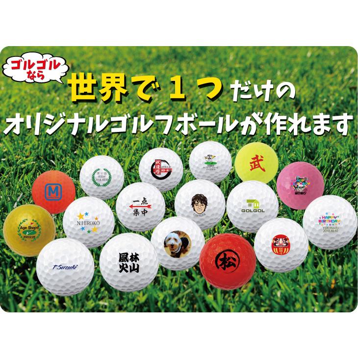 即日出荷対応 名入れゴルフボール 本間ゴルフ/HONMA D1 SPIN スピン ホワイト 1ダース(12球) 父の日 ホールインワン｜walker｜02