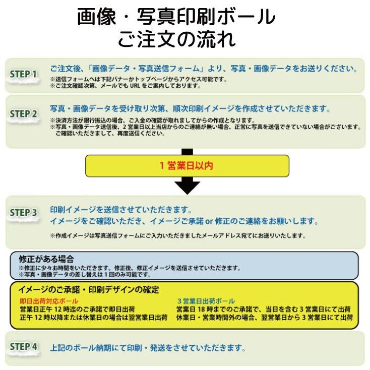 名入れ ゴルフボール 即日出荷対応 キャスコ Kira Crystal キラクリスタル 紅白ボールギフト半ダース 6球 父の日 必ず商品情報を見て下さい Kiracrystal6 1 名入れゴルフボールのゴルゴル 通販 Yahoo ショッピング