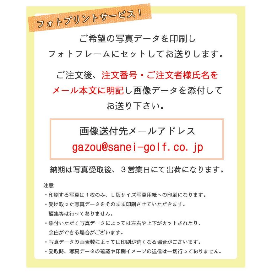手数料無料 フォトフレーム 名入れ ２lサイズ ｌ判写真用 ペットデザイン アクリル透明 写真立て フルカラー印刷 3営業日出荷対応 ネーム入りギフト Fundaterapia Com
