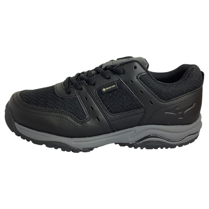 バンクシアコースト　/B1 ザ・ファームセレクト]バンクシア：コーストバンクシア 7号* の