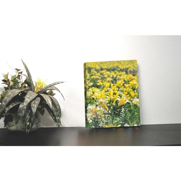 アートパネル 花 ゆり 壁掛けインテリアアート : Wall Art - 通販