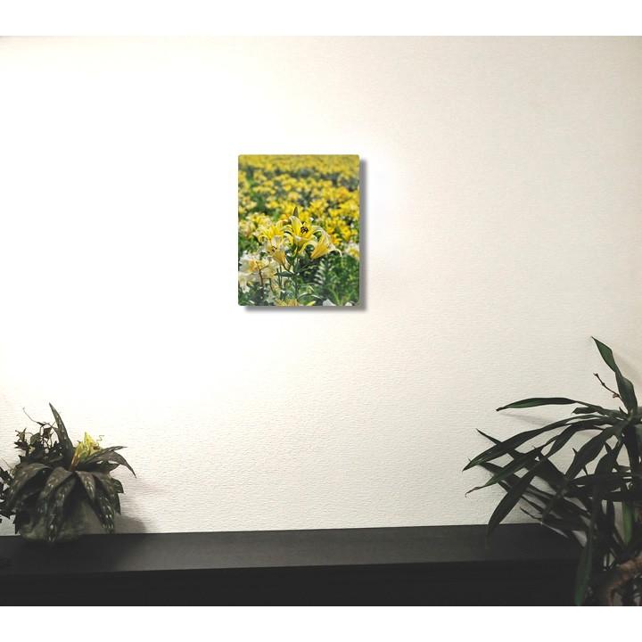 アートパネル 花 ゆり 壁掛けインテリアアート : Wall Art - 通販