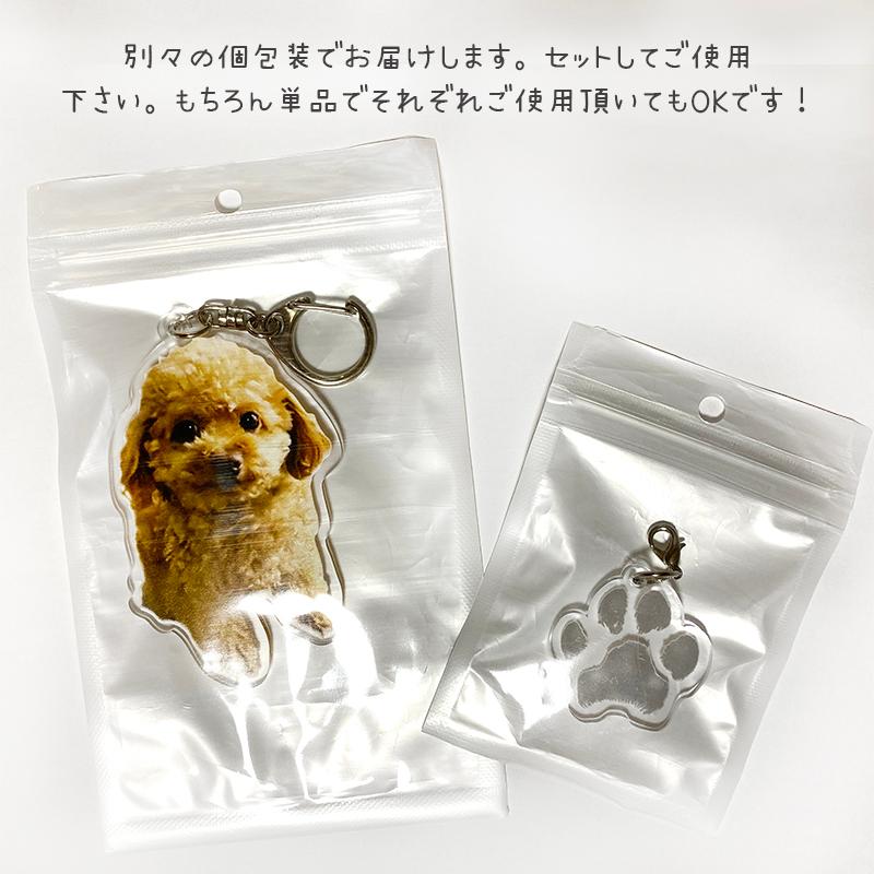 肉球付き ペットわんにゃん キーホルダー 名入れ メモリアル 写真