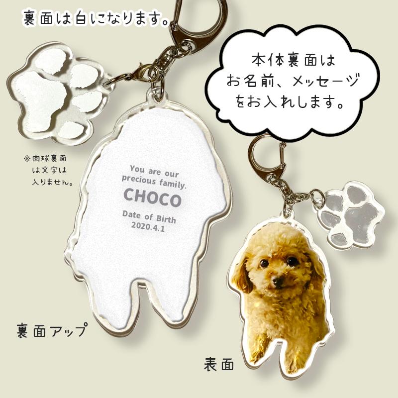 肉球付き ペットわんにゃん キーホルダー 名入れ メモリアル 写真