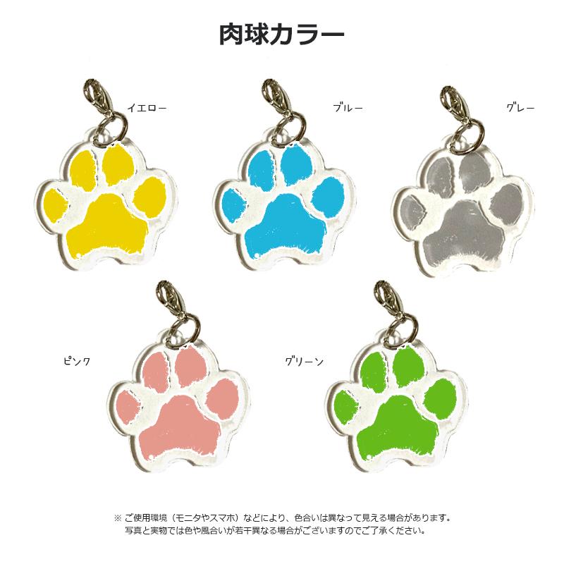 肉球付き ペットわんにゃん キーホルダー 名入れ メモリアル 写真
