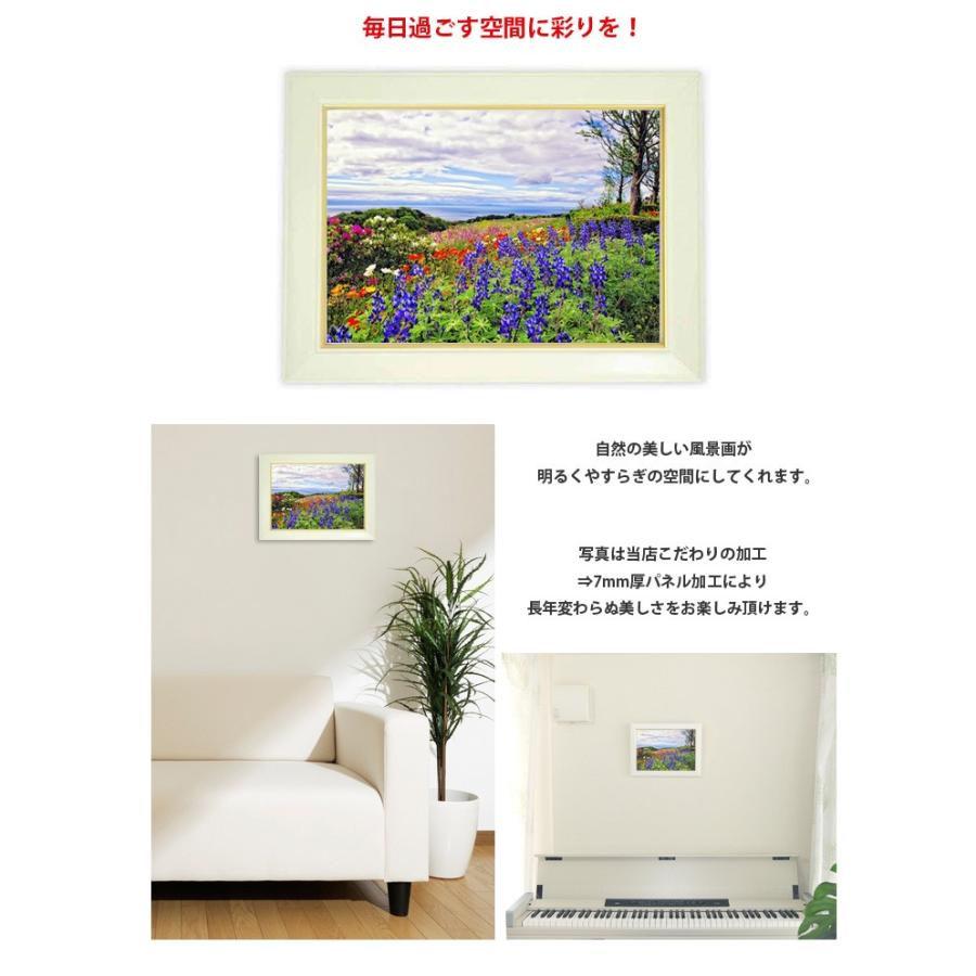 風景画 壁掛け 玄関インテリア 花 風景 額付き アートフレーム 壁インテリア Mf05 Wall Art 通販 Yahoo ショッピング