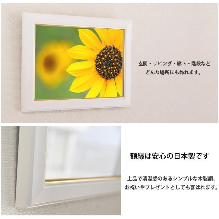 モデル着用 注目アイテム 風景画 壁掛け 玄関インテリア 花 ひまわり 額付き アートフレーム 壁インテリア Cisama Sc Gov Br
