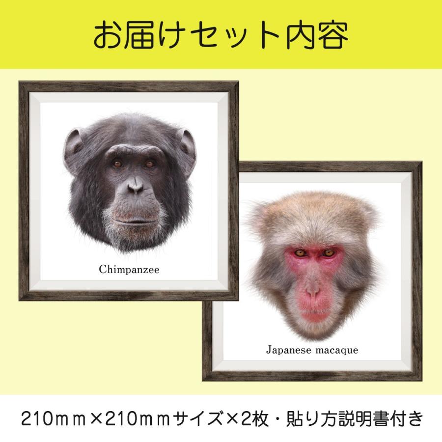 フレームステッカー 動物 動物 14 ウォールステッカー シール 額 壁面 インテリア チンパンジー 猿 カーテン ウォールステッカー市場 通販 Yahoo ショッピング