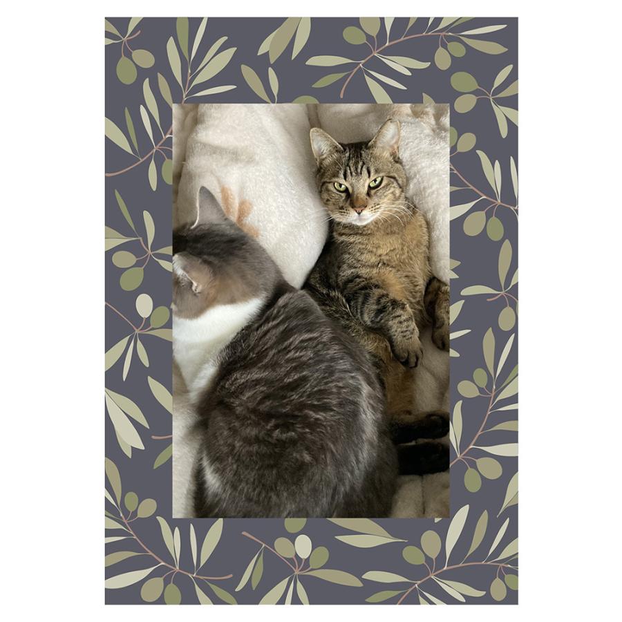 ウォールフォト「オリーブ/オリーブグリーン」 写真 フォトフレーム インテリア おしゃれ 雑貨 シール 壁デコ 賃貸OK