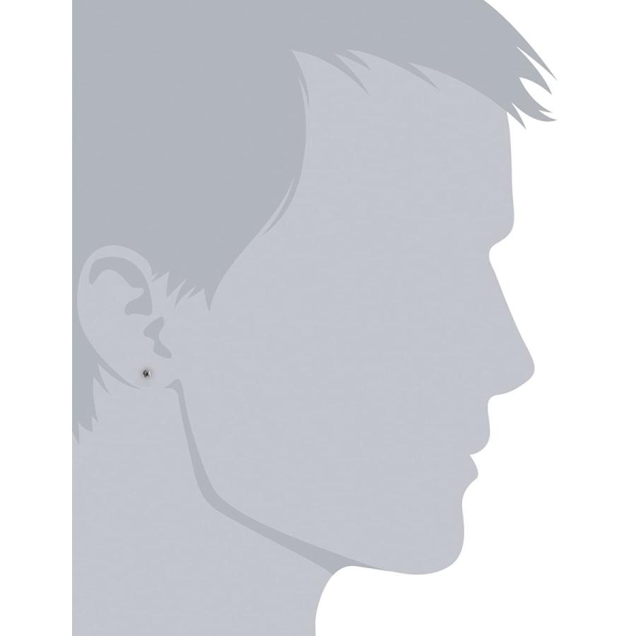 人気ブランドを ライオンハート Lion Heart プラチナブラックダイヤ0 1ct ピアス 片耳用シングルピアス 04e12ps S ウォールマート 通販 Yahoo ショッピング クライマックスセール再値下げ Www Yalaphone Com