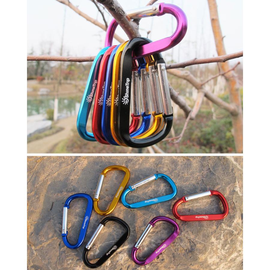 カラビナ 10個セット アルミカラビナ D型カラビナ キーホルダー
