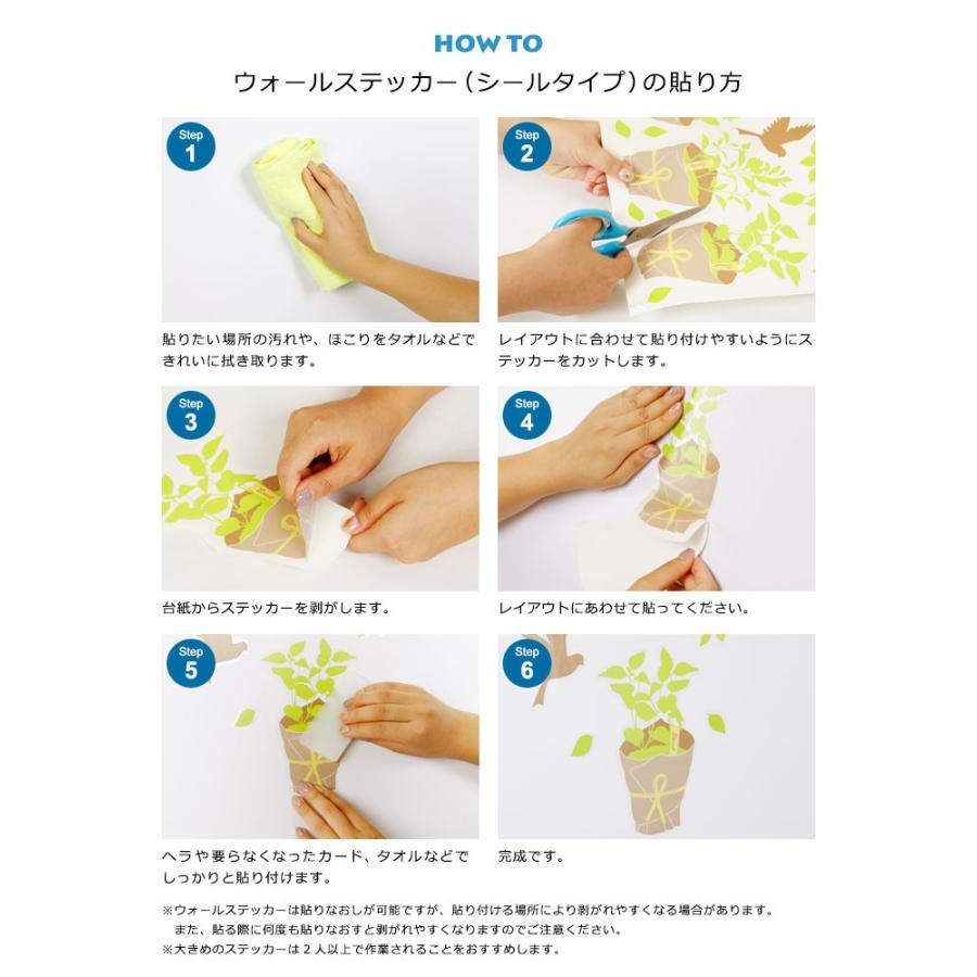 ウォールステッカー サボテン 植物 グリーン トゲ 針 鉢植え 南国風 サボテンの花 多肉植物 サボテンいろいろ 貼ってはがせる 北欧 インテリアシール Wch 276 ウォールステッカー本舗 通販 Yahoo ショッピング