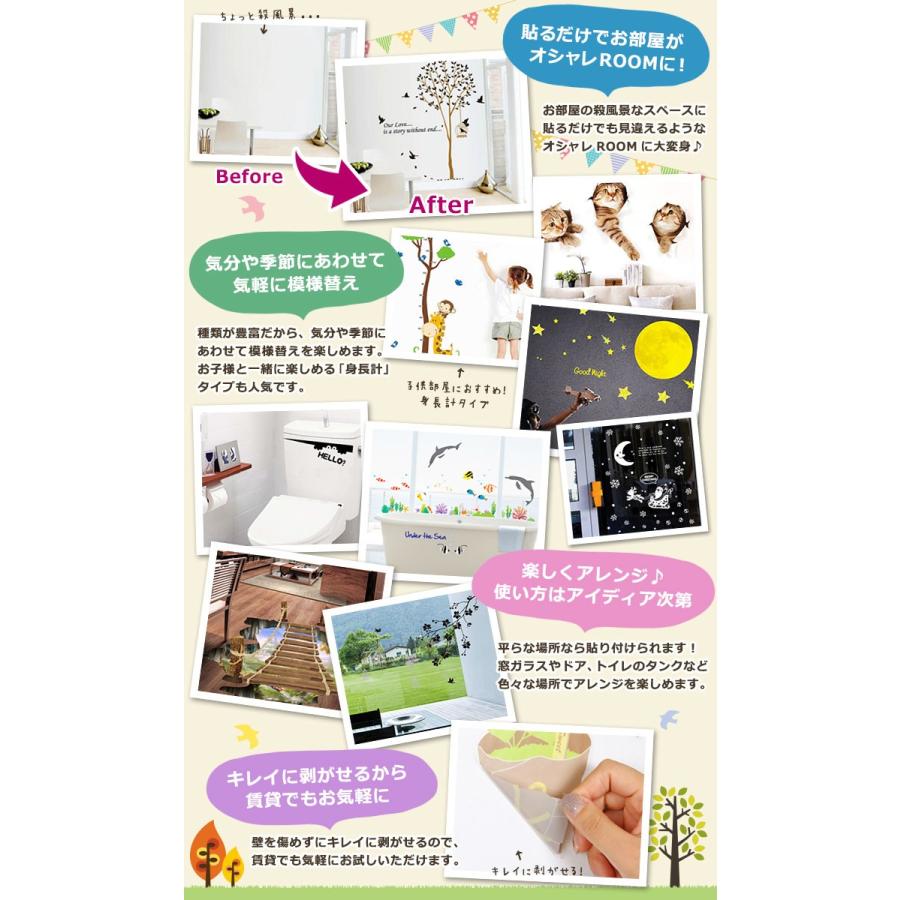 値段が激安 ウォールステッカー 観葉植物 グリーン 鉢植え 花 手書き風 パネル風 額縁 英語 英文 Succulent Plants 貼ってはがせる 北欧 インテリアシール 宅c Originaljustturkey Com