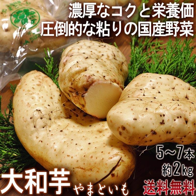 大和芋 やまといも 千葉県産 約2kg 5〜7本 国産野菜 当店一押し商品！ 長芋を超える圧倒的な粘り とろろ蕎麦やご飯に最適な山芋｜wamers