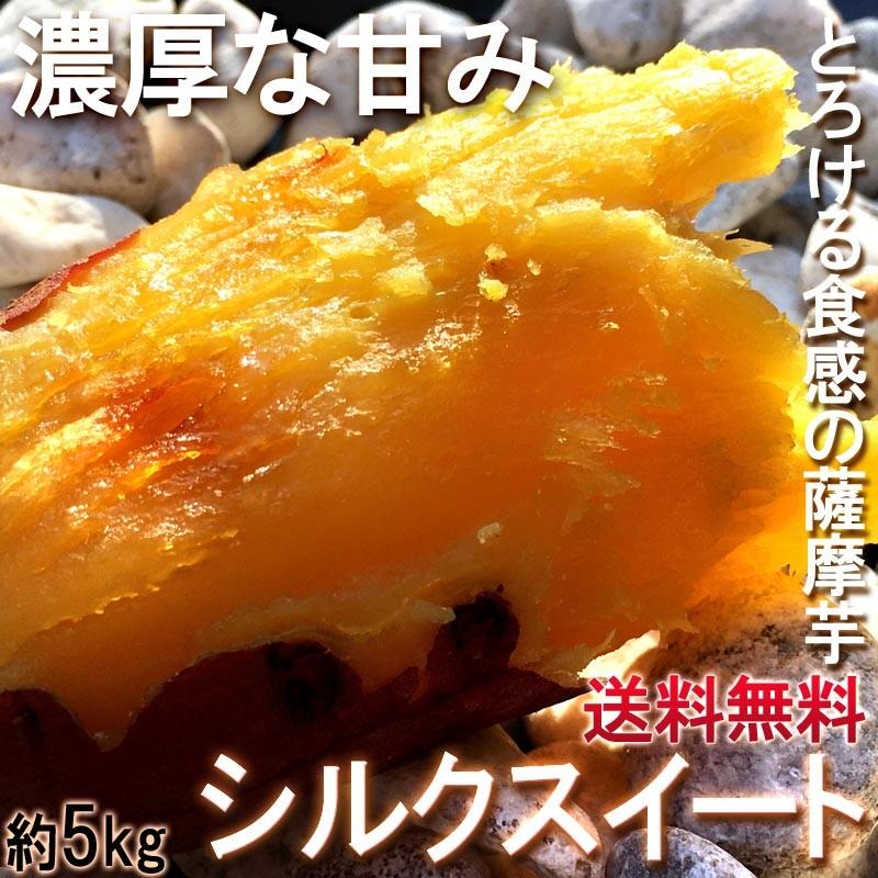 シルクスイート さつまいも 約5kg 千葉県・茨城県産 お得用 家庭用限定 産地箱入り 滑らかな食感と溢れんばかりの甘さ！ : 001-3784552  : 産地から玄関へ - 通販 - Yahoo!ショッピング