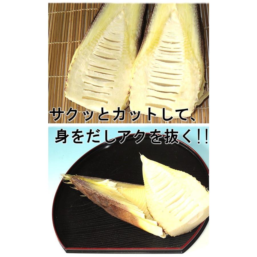 産地直送 孟宗筍 もうそうだけ 筍 生たけのこ 特大サイズ！ 約8〜10kg