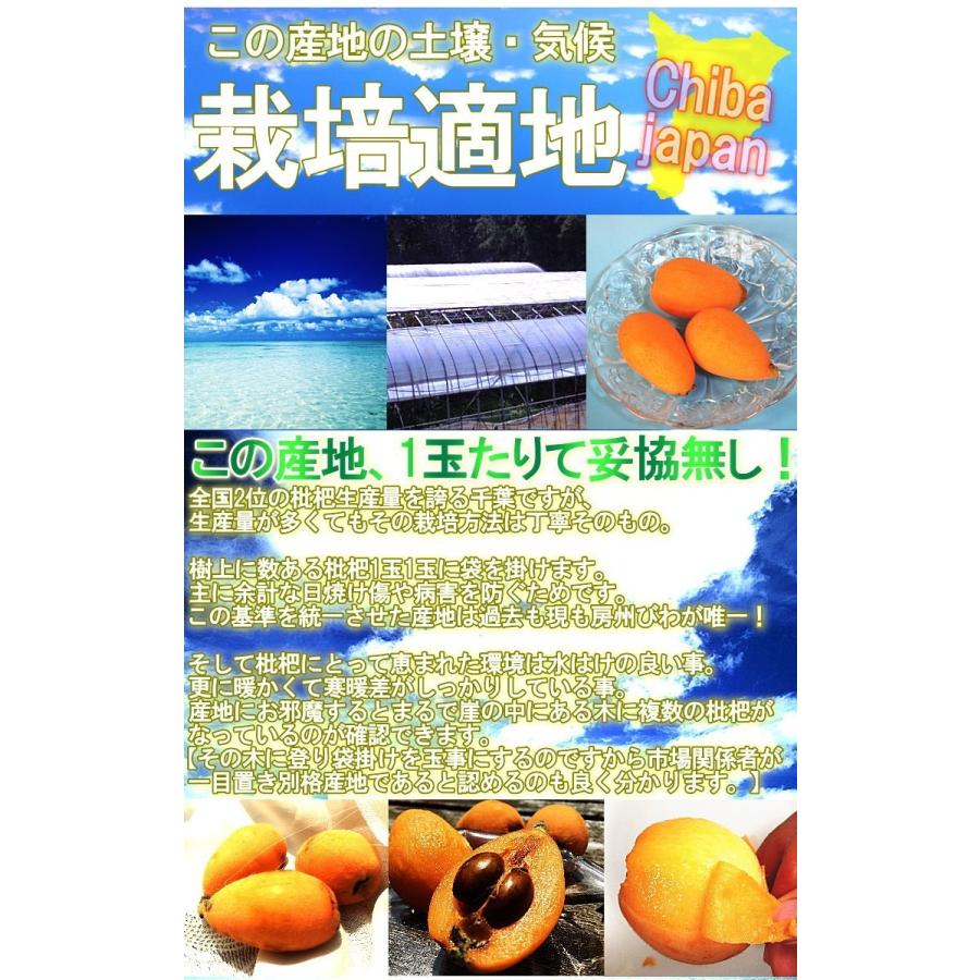 産地直送 房州びわ 千葉県産 3Lサイズ 12〜15玉入り 大玉 秀品 化粧箱入り 贈答最適 本場の枇杷をお届け！｜wamers｜07